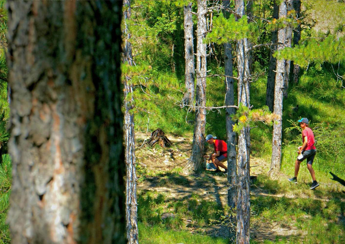 Recherche indices scouts nature