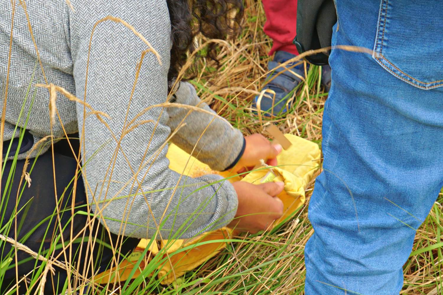 Observation nature sortie pédagogique