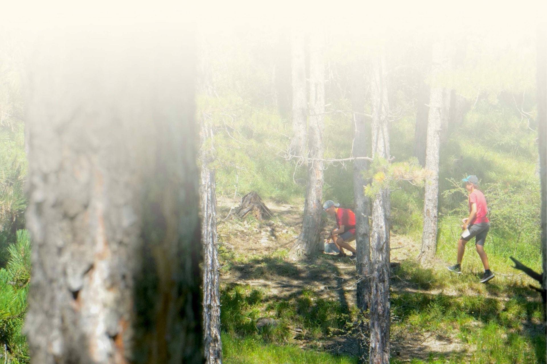 Faire un escape game en pleine forêt