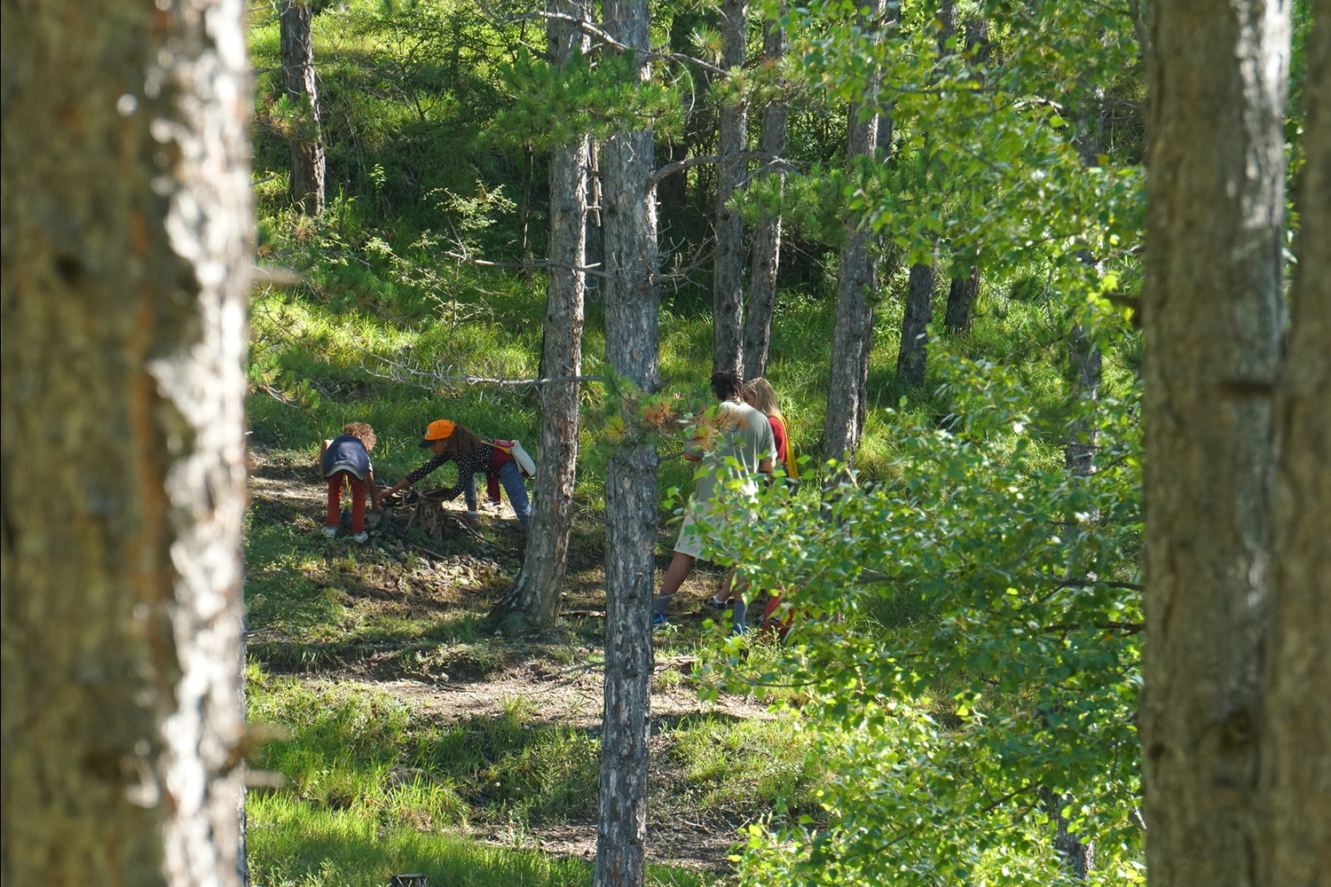 Aventure forêt périscolaire