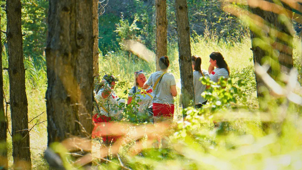 EVJF escape game nature Embrun