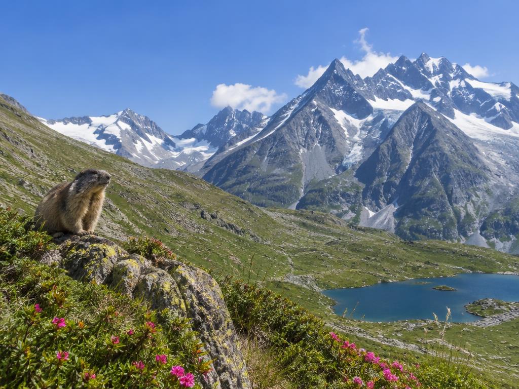Explorer le Parc national des Écrins
