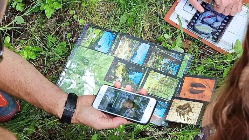 Cartes indices et smartphone