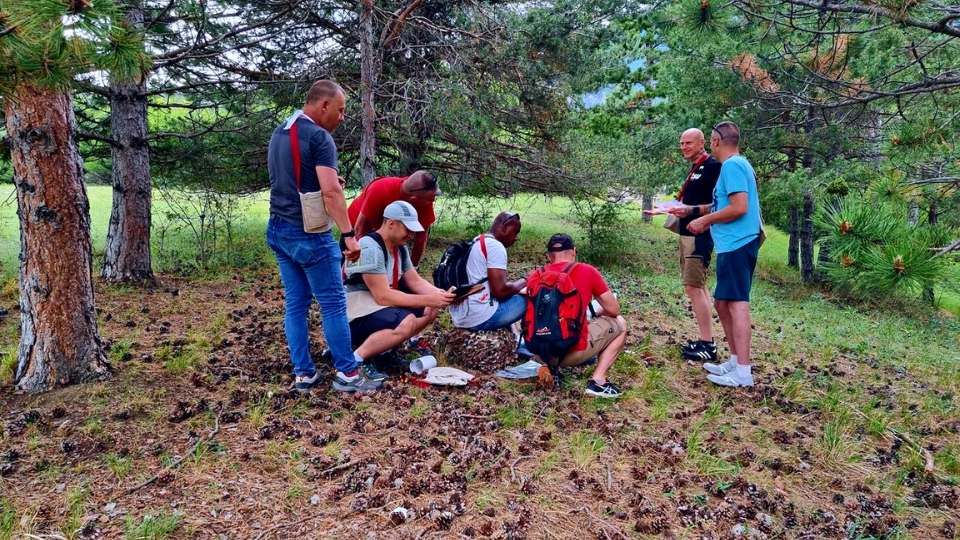 Équipe en pleine réflexion en forêt