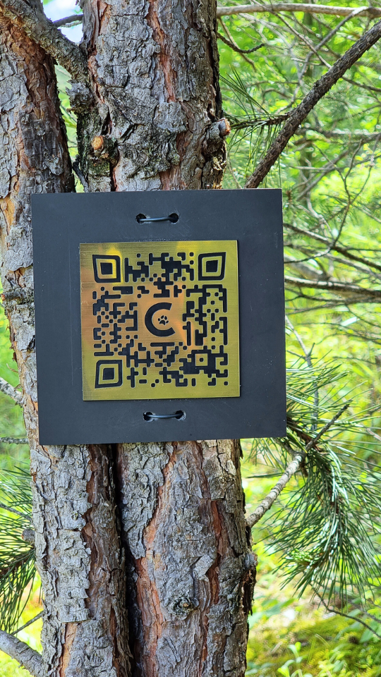 QR Code en laiton sur arbre
