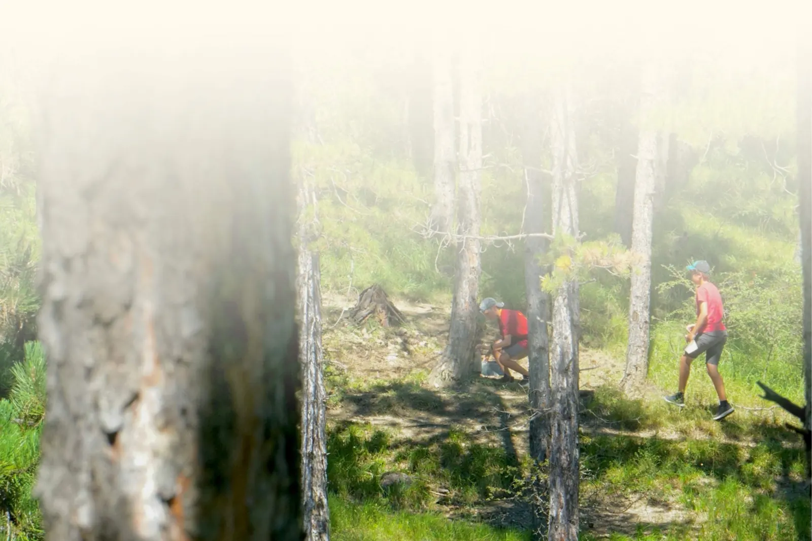 Méditation en pleine nature alpine