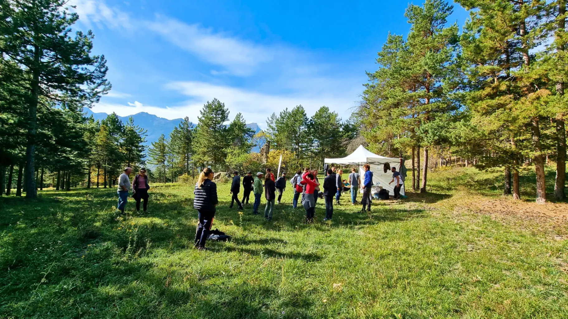 Team building plein air entreprise